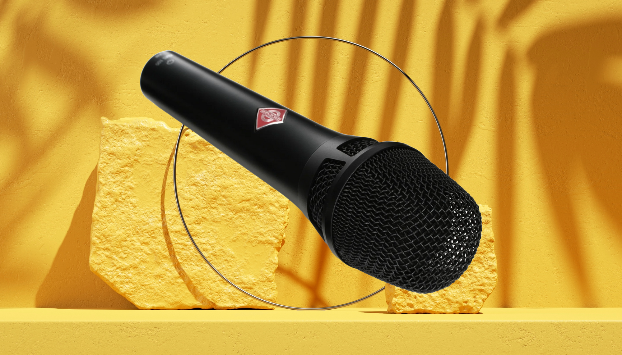 Top 6 Best Microphones for Live Performances